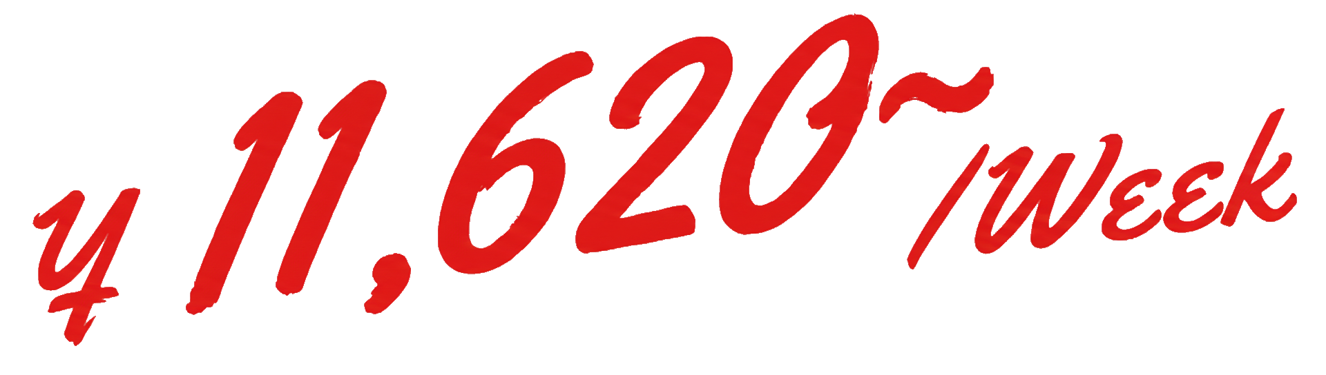 ウィークリー価格情報